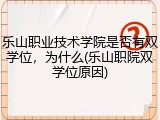 乐山职业技术学院是否有双学位，为什么(乐山职院双学位原因)