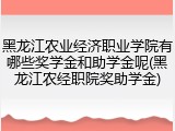 黑龙江农业经济职业学院有哪些奖学金和助学金呢(黑龙江农经职院奖助学金)