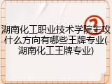 湖南化工职业技术学院主攻什么方向有哪些王牌专业(湖南化工王牌专业)