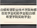 白银希望职业技术学院有哪些奖学金和助学金呢(白银希望学院奖助学金)