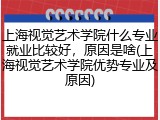 上海视觉艺术学院什么专业就业比较好，原因是啥(上海视觉艺术学院优势专业及原因)