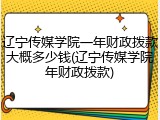 辽宁传媒学院一年财政拨款大概多少钱(辽宁传媒学院年财政拨款)