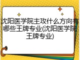 沈阳医学院主攻什么方向有哪些王牌专业(沈阳医学院王牌专业)