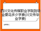 四川文化传媒职业学院到毕业要花多少学费(川文传毕业学费)
