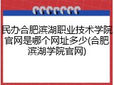 民办合肥滨湖职业技术学院官网是哪个网址多少(合肥滨湖学院官网)