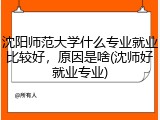 沈阳师范大学什么专业就业比较好，原因是啥(沈师好就业专业)