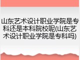 山东艺术设计职业学院是专科还是本科院校呢(山东艺术设计职业学院是专科吗)