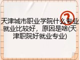 天津城市职业学院什么专业就业比较好，原因是啥(天津职院好就业专业)