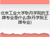 北京工业大学耿丹学院的王牌专业是什么(耿丹学院王牌专业)