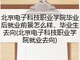 北京电子科技职业学院毕业后就业前景怎么样，毕业生去向(北京电子科技职业学院就业去向)