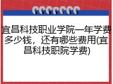 宜昌科技职业学院一年学费多少钱，还有哪些费用(宜昌科技职院学费)