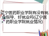 辽宁医药职业学院有没有就业指导，好就业吗(辽宁医药职业学院就业情况)