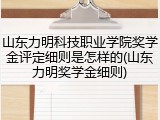山东力明科技职业学院奖学金评定细则是怎样的(山东力明奖学金细则)
