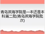 青岛滨海学院是一本还是本科第二批(青岛滨海学院批次)