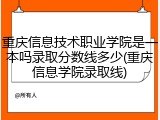 重庆信息技术职业学院是一本吗录取分数线多少(重庆信息学院录取线)