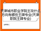 天津城市职业学院主攻什么方向有哪些王牌专业(天津职院王牌专业)