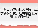 贵州电力职业技术学院一年学费多少钱，还有哪些费用(贵州电力学院费用)