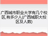 广西城市职业大学有几个校区,有多少人(广西城职大校区及人数)