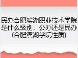 民办合肥滨湖职业技术学院是什么级别，公办还是民办(合肥滨湖学院性质)