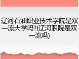 辽河石油职业技术学院是双一流大学吗?(辽河职院是双一流吗)