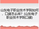 山东电子职业技术学院如何，口碑怎么样？(山东电子职业技术学院口碑)