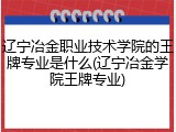辽宁冶金职业技术学院的王牌专业是什么(辽宁冶金学院王牌专业)