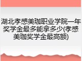湖北孝感美珈职业学院一年奖学金最多能拿多少(孝感美珈奖学金最高额)