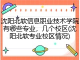 沈阳北软信息职业技术学院有哪些专业，几个校区(沈阳北软专业校区情况)