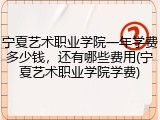 宁夏艺术职业学院一年学费多少钱，还有哪些费用(宁夏艺术职业学院学费)