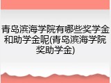 青岛滨海学院有哪些奖学金和助学金呢(青岛滨海学院奖助学金)