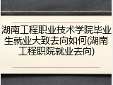 湖南工程职业技术学院毕业生就业大致去向如何(湖南工程职院就业去向)