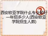 西安欧亚学院什么专业最好，一年招多少人(西安欧亚学院招生人数)