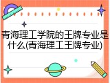 青海理工学院的王牌专业是什么(青海理工王牌专业)