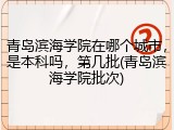 青岛滨海学院在哪个城市，是本科吗，第几批(青岛滨海学院批次)