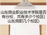 山东商业职业技术学院是否有分校，共有多少个校区(山东商职几个校区)
