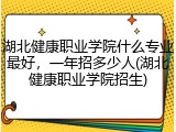 湖北健康职业学院什么专业最好，一年招多少人(湖北健康职业学院招生)