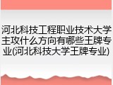河北科技工程职业技术大学主攻什么方向有哪些王牌专业(河北科技大学王牌专业)