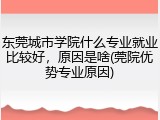 东莞城市学院什么专业就业比较好，原因是啥(莞院优势专业原因)