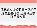 江苏城乡建设职业学院的王牌专业是什么(江苏城建学院王牌专业)