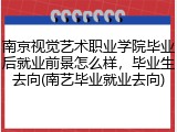 南京视觉艺术职业学院毕业后就业前景怎么样，毕业生去向(南艺毕业就业去向)