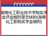 湖南化工职业技术学院奖学金评定细则是怎样的(湖南化工职院奖学金细则)