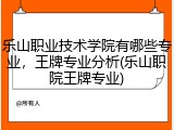 乐山职业技术学院有哪些专业，王牌专业分析(乐山职院王牌专业)