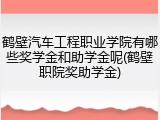 鹤壁汽车工程职业学院有哪些奖学金和助学金呢(鹤壁职院奖助学金)