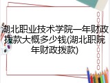 湖北职业技术学院一年财政拨款大概多少钱(湖北职院年财政拨款)