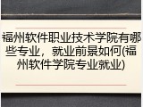 福州软件职业技术学院有哪些专业，就业前景如何(福州软件学院专业就业)