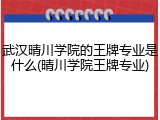武汉晴川学院的王牌专业是什么(晴川学院王牌专业)