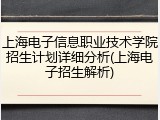 上海电子信息职业技术学院招生计划详细分析(上海电子招生解析)