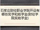 石家庄财经职业学院开设有哪些奖学和助学金(财经学院奖助学金)