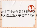 大连工业大学是985还是211(大连工业大学是211吗？)