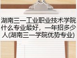 湖南三一工业职业技术学院什么专业最好，一年招多少人(湖南三一学院优势专业)